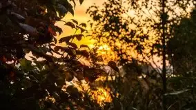 Wschód słońca, okolice i jezioro Kisajno, październik 2020 - zdjęcie 29