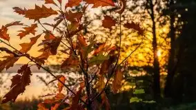 Wschód słońca, okolice i jezioro Kisajno, październik 2020 - zdjęcie 13