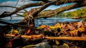 Jesień 2020 na zdjęciach Stanisława Sielewicza - zdjęcie 6