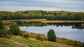 Jesień 2020 na zdjęciach Stanisława Sielewicza - zdjęcie 14