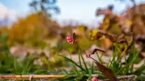 Zachód słońca nad jeziorem Kisajno - zdjęcie 10