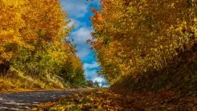 Mazurska jesień w okolicy Pieczarek i Przerwanek - zdjęcie 2