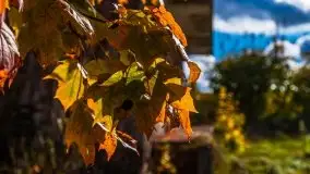 Mazurska jesień w okolicy Pieczarek i Przerwanek - zdjęcie 10