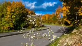 Mazurska jesień w okolicy Pieczarek i Przerwanek - zdjęcie 12