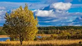 Mazurska jesień w okolicy Pieczarek i Przerwanek - zdjęcie 40