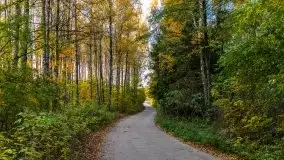 Jesienny, Mazurski las w okolicach Pieczarek - zdjęcie 48