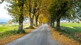 Mazury całe w barwach jesieni - zdjęcie 3