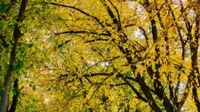 Mazury całe w barwach jesieni - zdjęcie 19