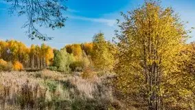 Mazury całe w barwach jesieni - zdjęcie 26