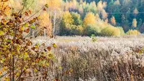 Mazury całe w barwach jesieni - zdjęcie 12