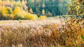 Mazury całe w barwach jesieni - zdjęcie 4