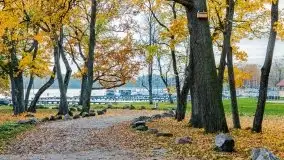 Mazury całe w barwach jesieni - zdjęcie 65