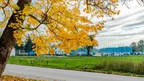 Mazury całe w barwach jesieni - zdjęcie 72