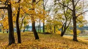 Mazury całe w barwach jesieni - zdjęcie 70