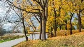 Mazury całe w barwach jesieni - zdjęcie 77