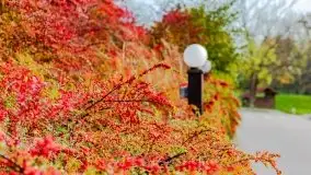 Mazury całe w barwach jesieni - zdjęcie 60