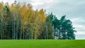 Mazury całe w barwach jesieni - zdjęcie 66