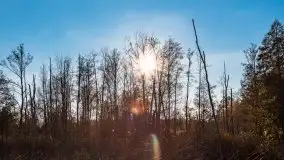 Jesiennie klimaty, Fuleda, Dziewiszewo, jezioro Dobskie - zdjęcie 9