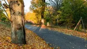 Jesiennie klimaty, Fuleda, Dziewiszewo, jezioro Dobskie - zdjęcie 32