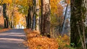 Jesiennie klimaty, Fuleda, Dziewiszewo, jezioro Dobskie - zdjęcie 28