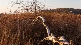 Zachód Słońca nad jeziorem Dobskim, listopad 2020 - zdjęcie 10