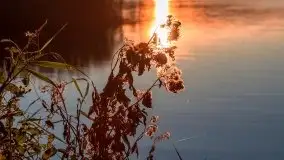 Zachód Słońca nad jeziorem Dobskim, listopad 2020 - zdjęcie 14