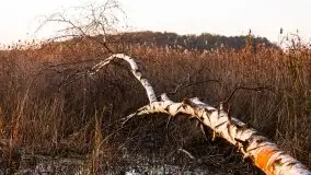 Zachód Słońca nad jeziorem Dobskim, listopad 2020 - zdjęcie 21