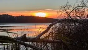 Zachód Słońca nad jeziorem Dobskim, listopad 2020 - zdjęcie 64