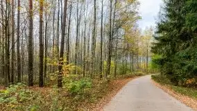 Późno jesienne klimaty gdy wieje i chłód doskwiera przy jeziorze Dargin - zdjęcie 1