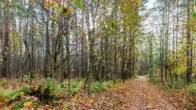 Późno jesienne klimaty gdy wieje i chłód doskwiera przy jeziorze Dargin - zdjęcie 7