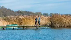 Późno jesienne klimaty gdy wieje i chłód doskwiera przy jeziorze Dargin - zdjęcie 25