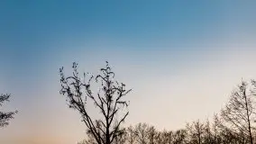 Zwierzęta złapane na Mazurach na początku 2020 roku - zdjęcie 20