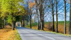 Piękna mazurska złota jesień, listopad 2019 - zdjęcie 49