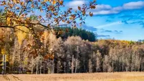 Piękna mazurska złota jesień, listopad 2019 - zdjęcie 47