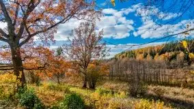 Piękna mazurska złota jesień, listopad 2019 - zdjęcie 19