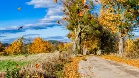 Piękna mazurska złota jesień, listopad 2019 - zdjęcie 39