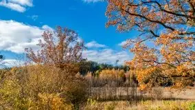 Piękna mazurska złota jesień, listopad 2019 - zdjęcie 15