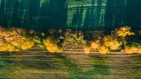 Mazurska jesień z lotu mewy, listopad 2020 r. - zdjęcie 53