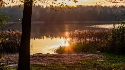 Jesień w okolicach jeziora Okrągłe, listopad 2020