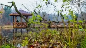 Las miejski w Giżycku, listopad 2020 r. - zdjęcie 17