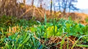 Jesienne Mazury, okolice jezior Niegocin i wojnowo - zdjęcie 5