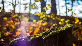 Jesienne Mazury, okolice jezior Niegocin i wojnowo - zdjęcie 26