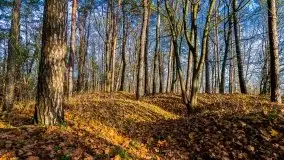 Jesienne Mazury, okolice jezior Niegocin i wojnowo - zdjęcie 35