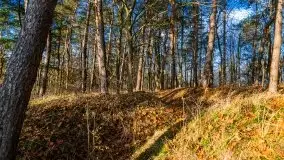 Jesienne Mazury, okolice jezior Niegocin i wojnowo - zdjęcie 13