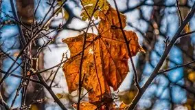 Jesienne Mazury, okolice jezior Niegocin i wojnowo - zdjęcie 1