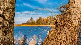 Jesienne Mazury, okolice jezior Niegocin i wojnowo - zdjęcie 21