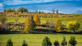 Jesienne Mazury na zdjęciach Staszka Sielewicza - zdjęcie 2