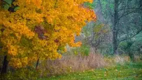 Jesienne Mazury na zdjęciach Staszka Sielewicza - zdjęcie 31