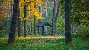 Jesienne Mazury na zdjęciach Staszka Sielewicza - zdjęcie 23