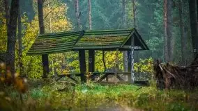 Jesienne Mazury na zdjęciach Staszka Sielewicza - zdjęcie 12